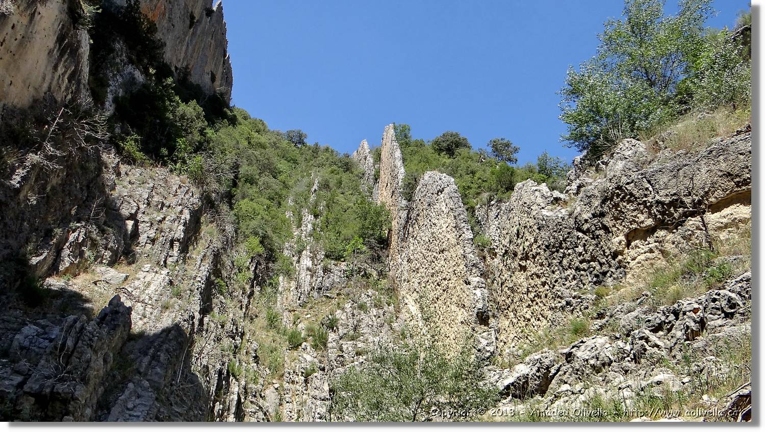Finestres_061.jpg
