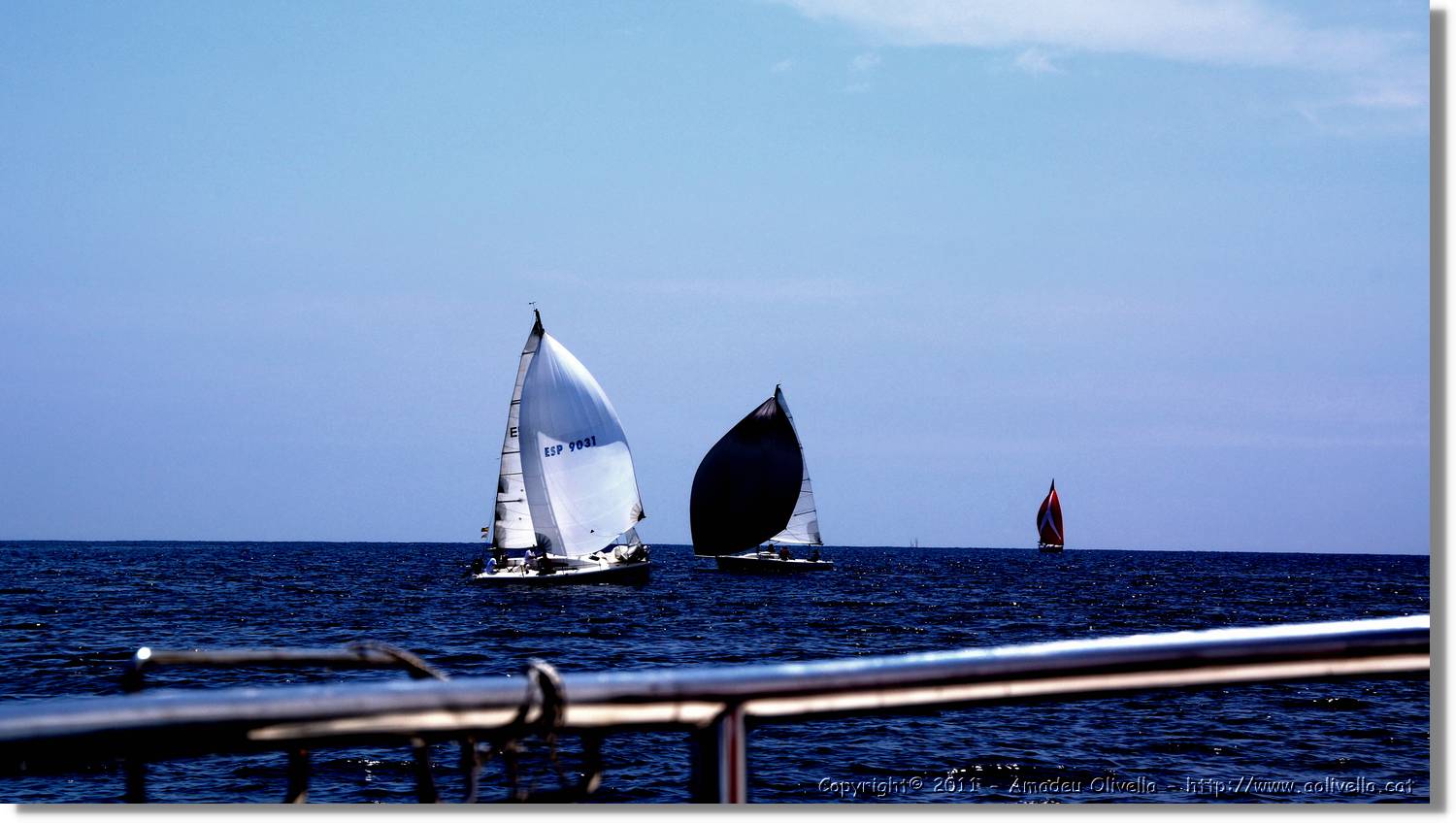 Regata_142.jpg