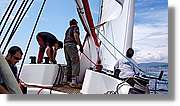 Regata_111.jpg