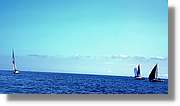 Regata_112.jpg