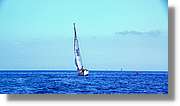 Regata_113.jpg