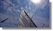 Regata_118.jpg