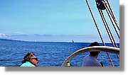 Regata_120.jpg