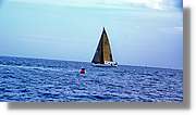 Regata_123.jpg