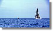Regata_124.jpg