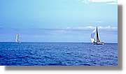 Regata_125.jpg