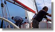 Regata_128.jpg