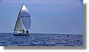 Regata_135.jpg
