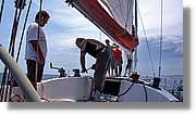 Regata_136.jpg