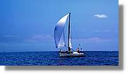 Regata_141.jpg