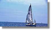 Regata_145.jpg