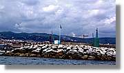 Regata_150.jpg
