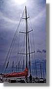 Regata_160.jpg