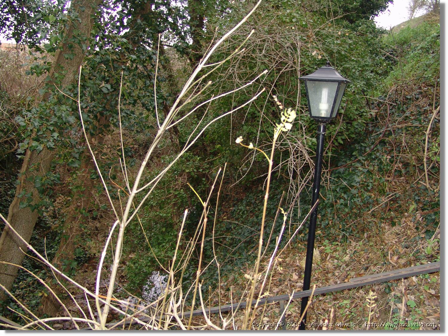 Riera_067.jpg