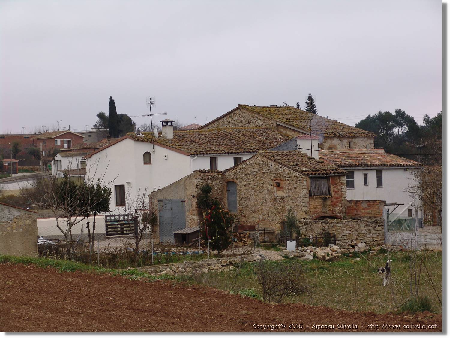 Riera_104.jpg