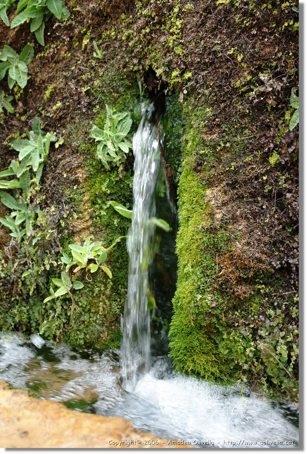 4Riera_073.jpg