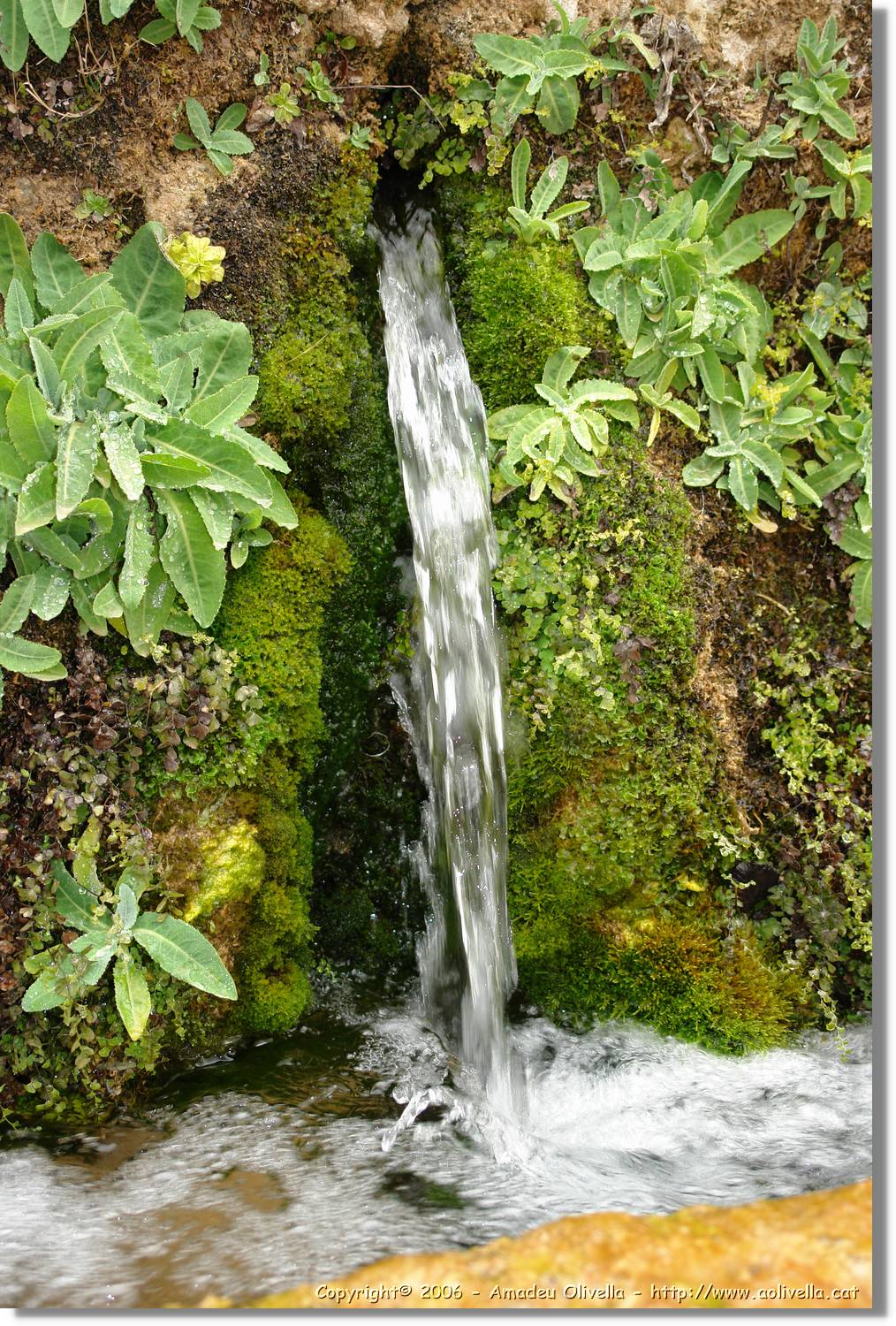 4Riera_074.jpg