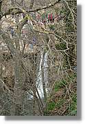 4Riera_110.jpg