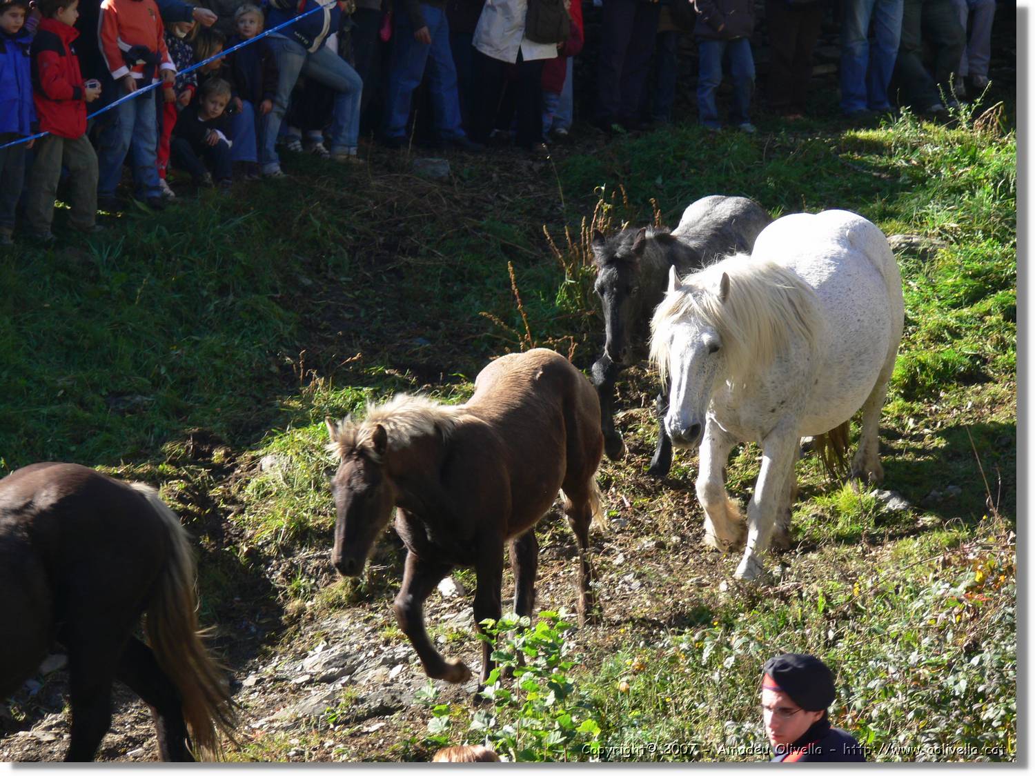Mulats_023.jpg