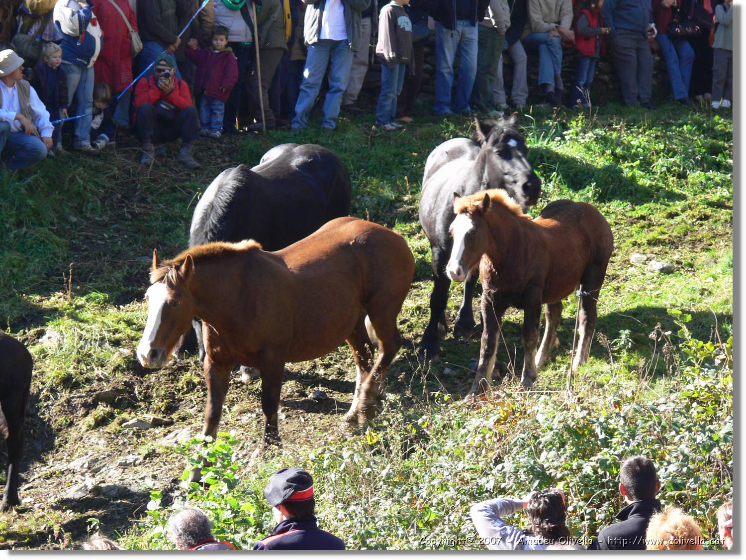 Mulats_068.jpg