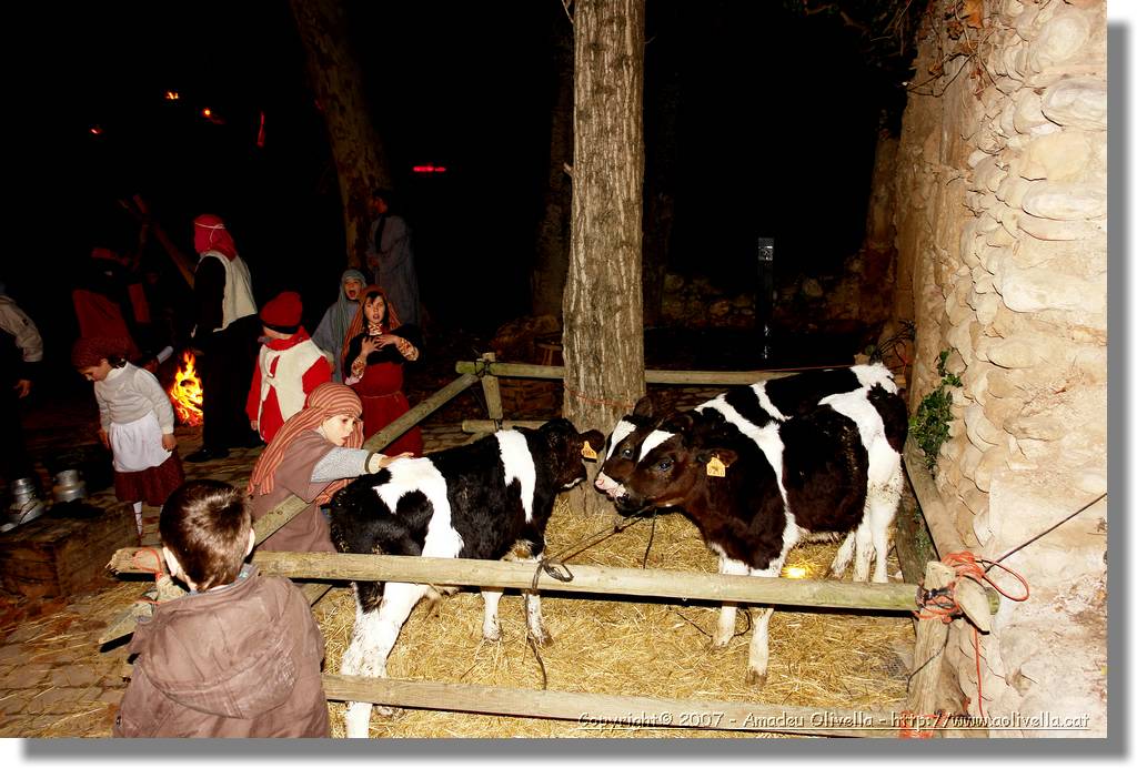 Pessebre_46.jpg