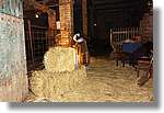 Pessebre_06.jpg