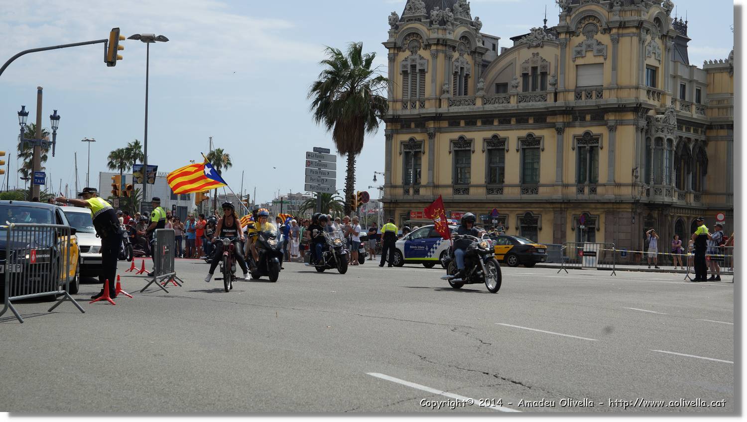 HarleyD_055.jpg