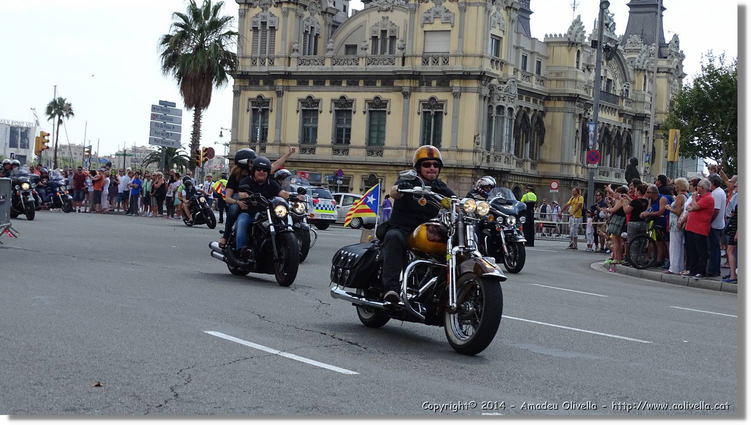 HarleyD_058.jpg