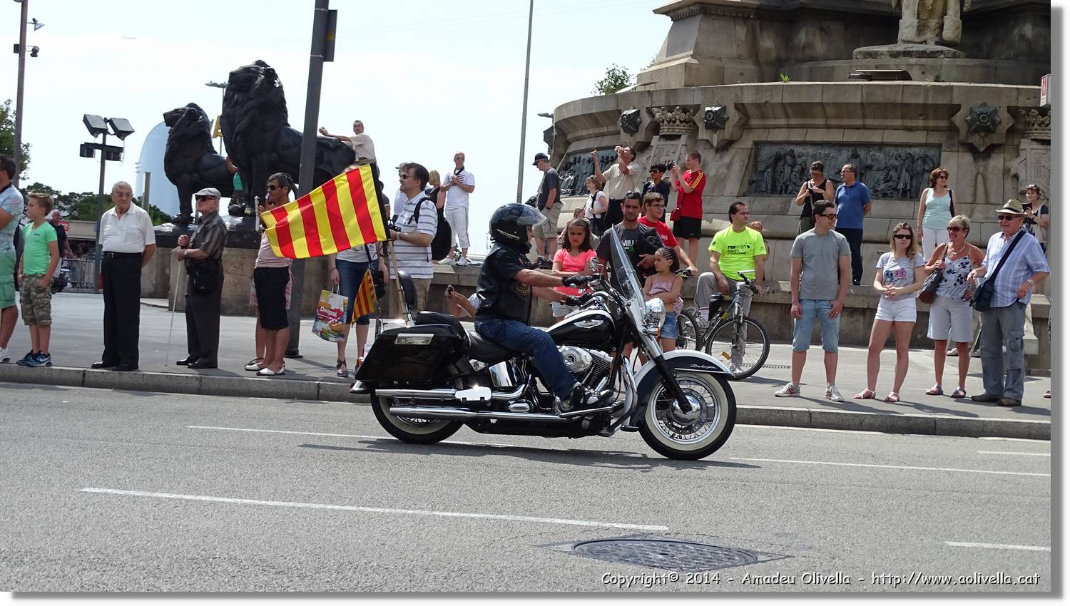 HarleyD_059.jpg