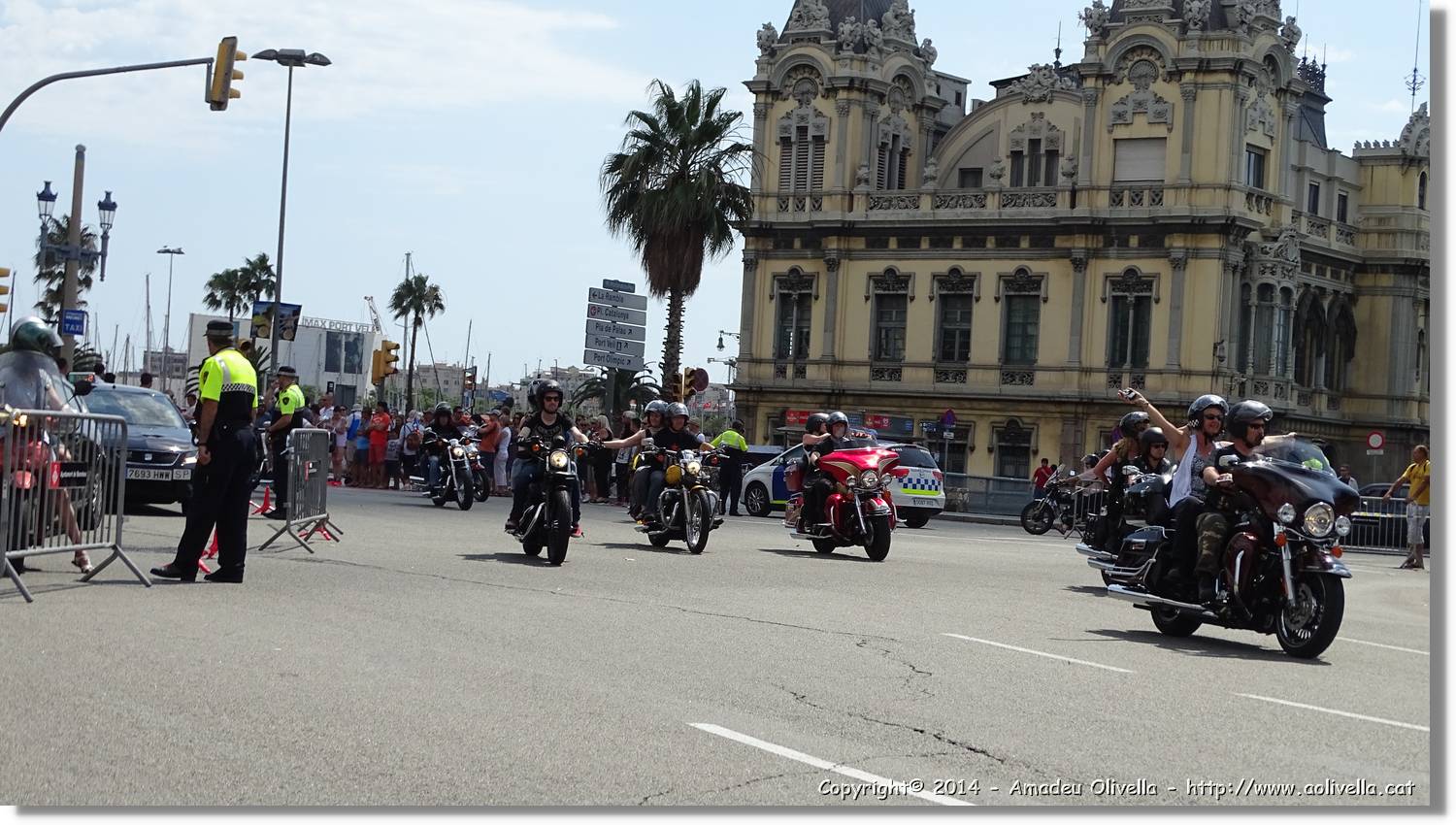 HarleyD_061.jpg