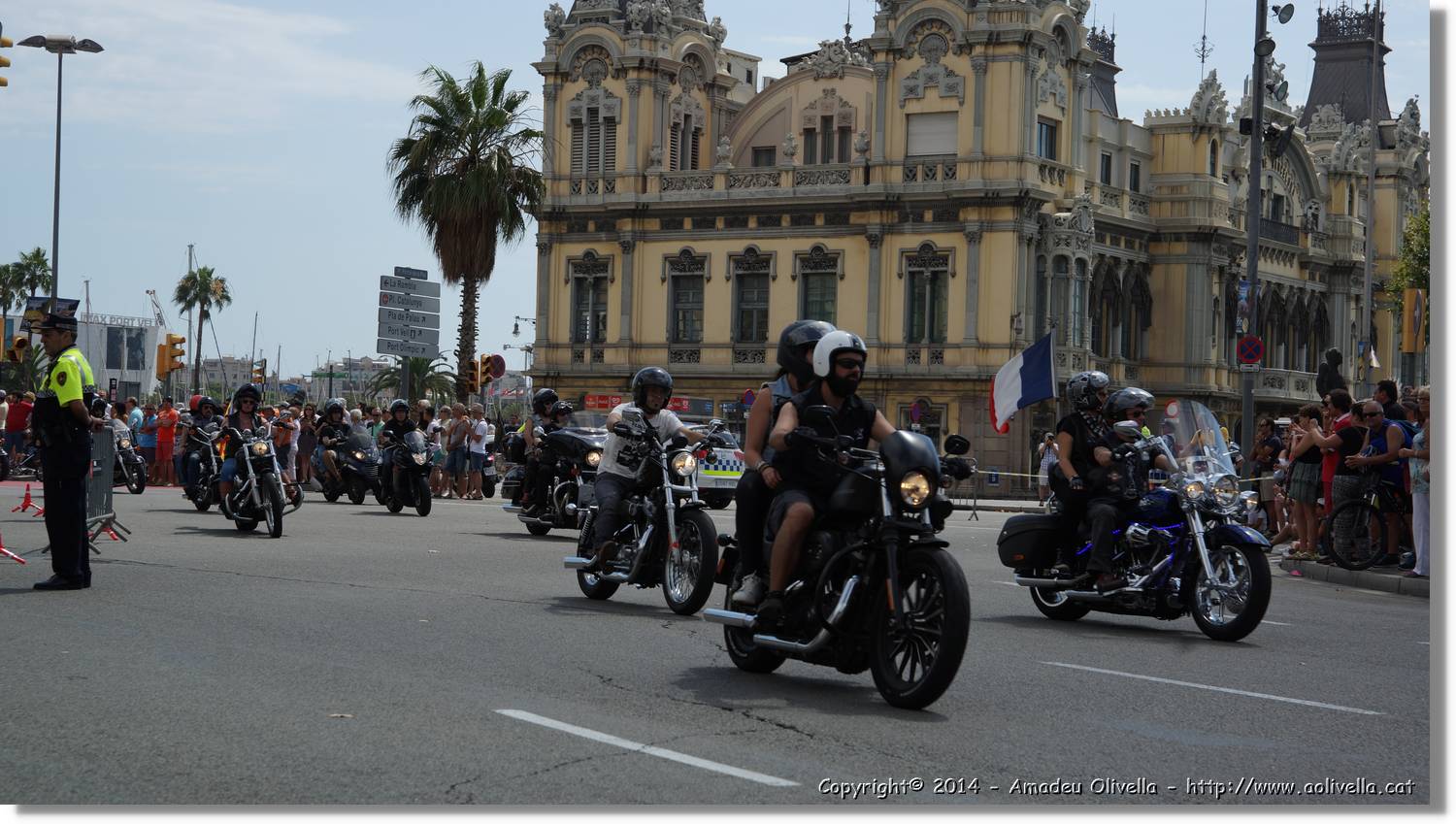 HarleyD_062.jpg