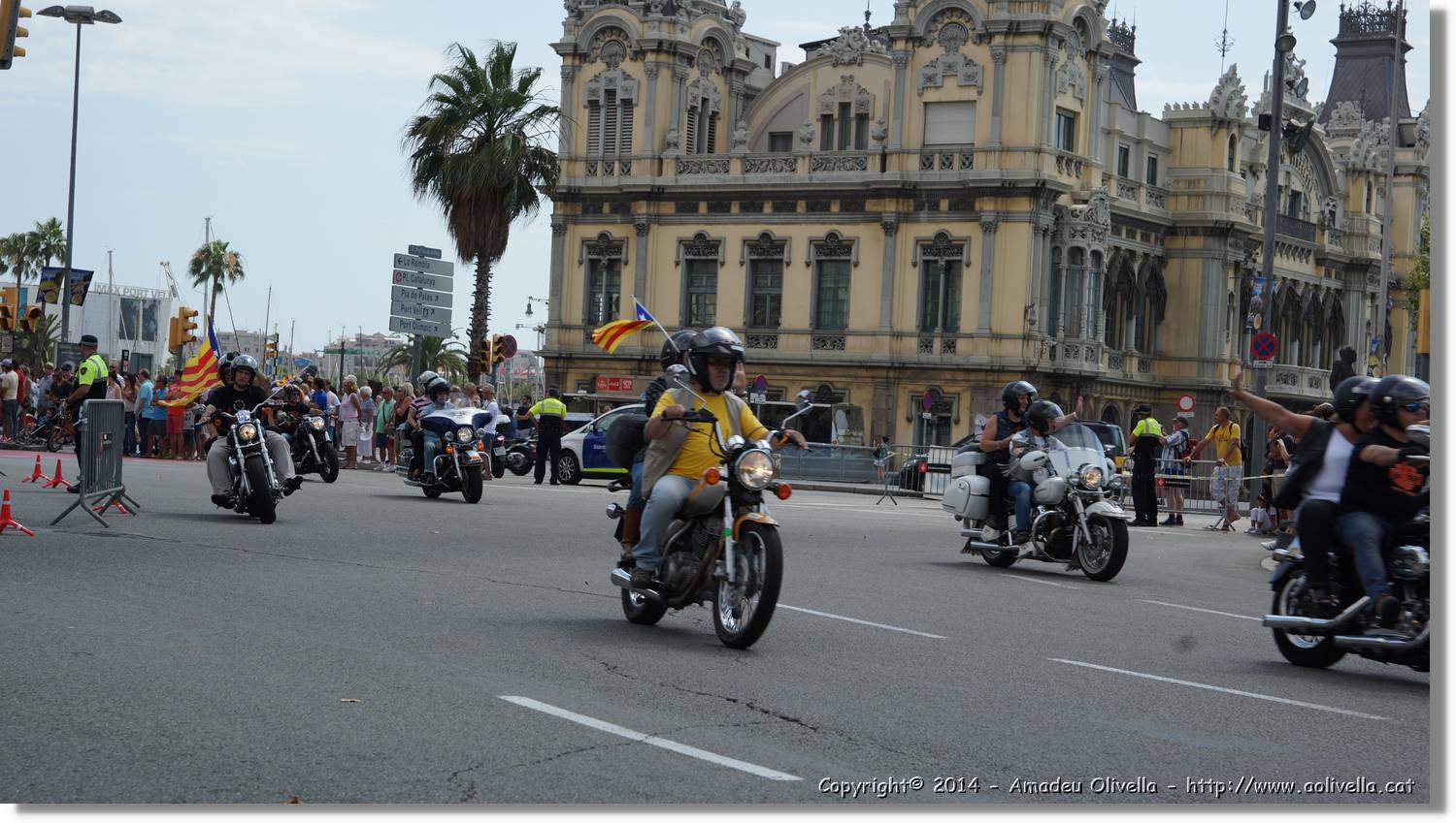 HarleyD_064.jpg