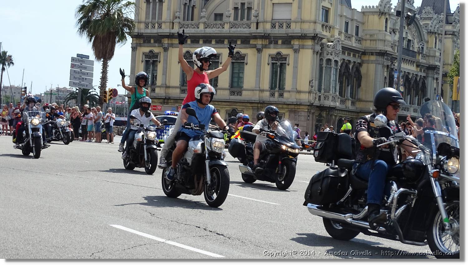 HarleyD_065.jpg