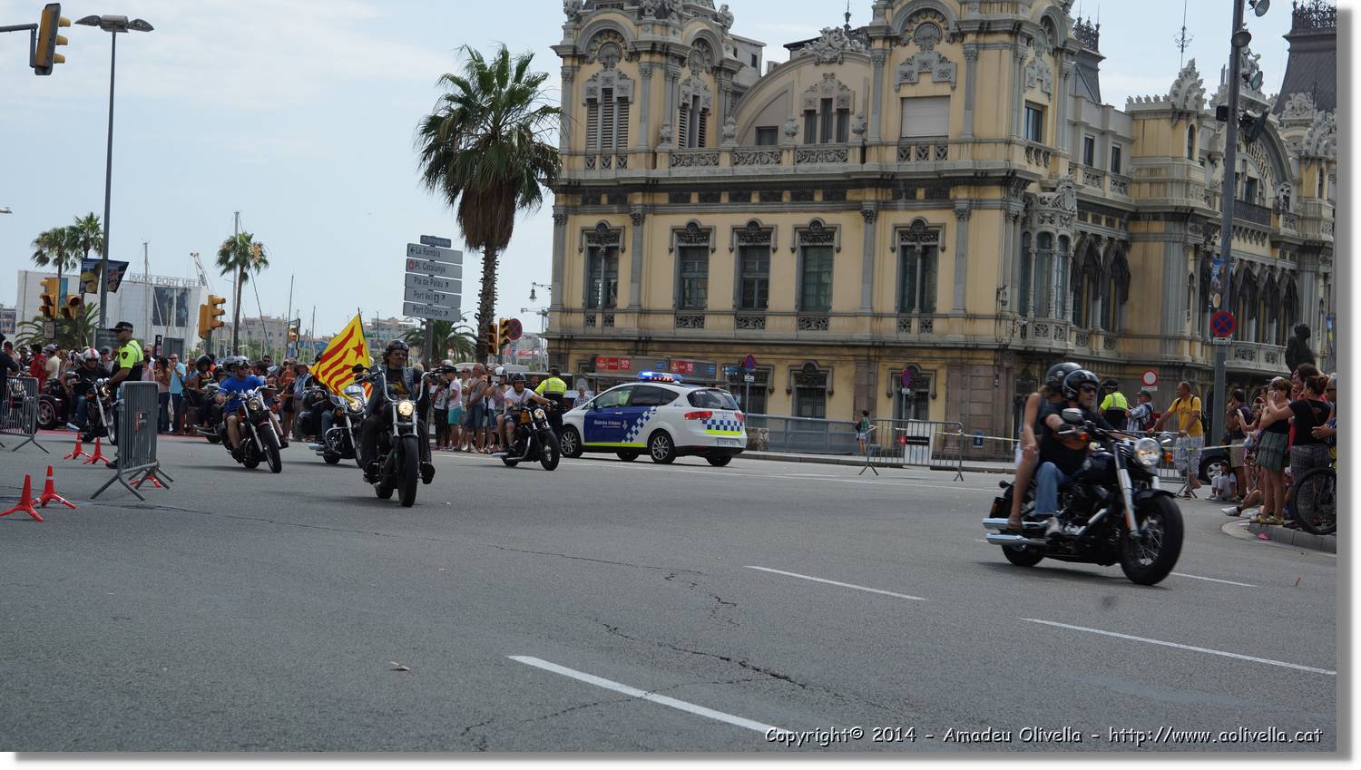 HarleyD_066.jpg