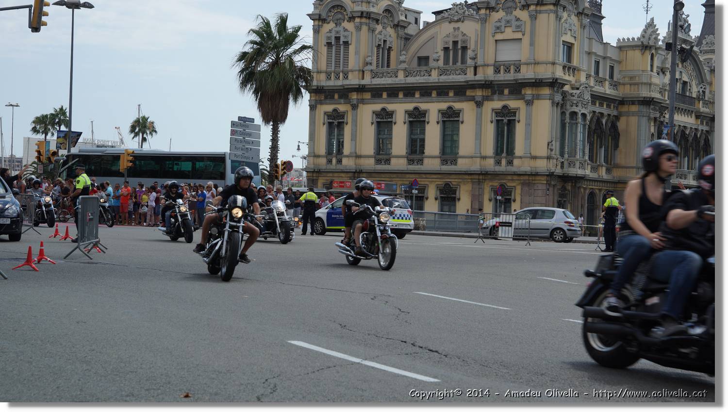 HarleyD_069.jpg