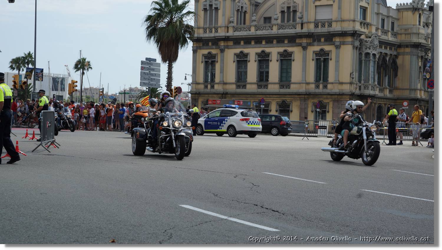 HarleyD_070.jpg
