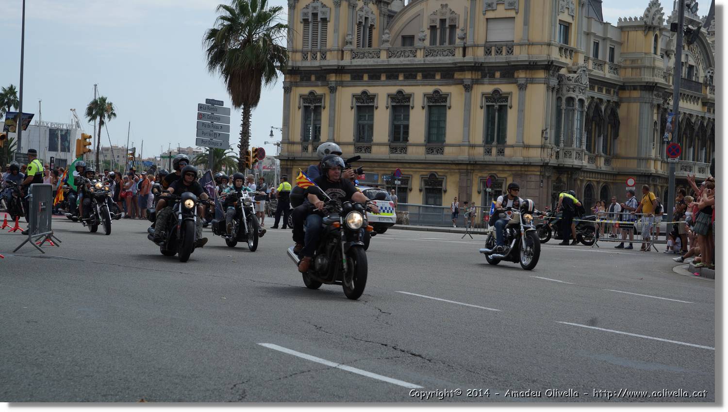 HarleyD_073.jpg