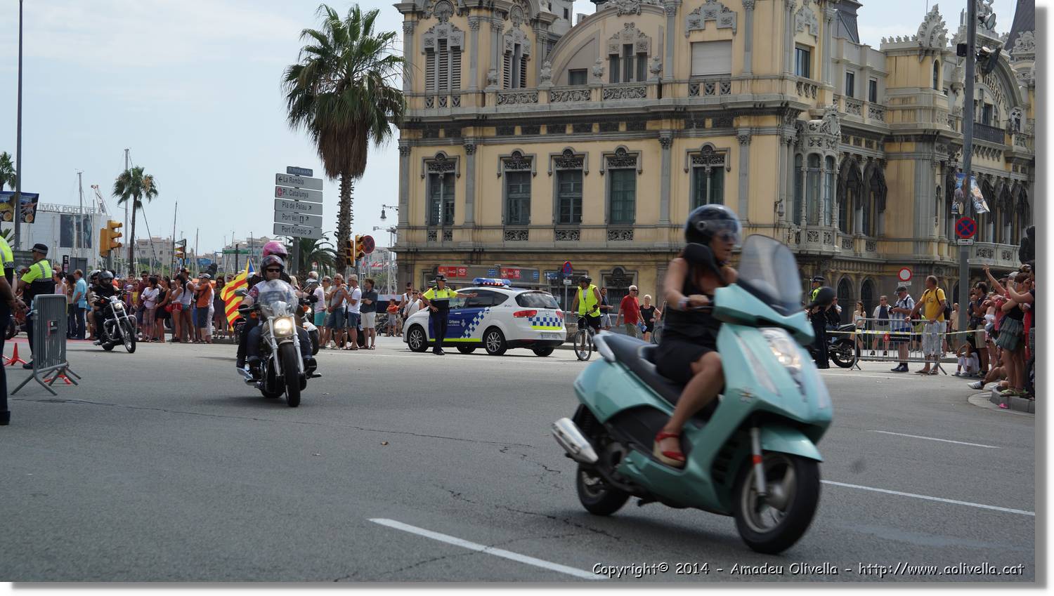 HarleyD_078.jpg