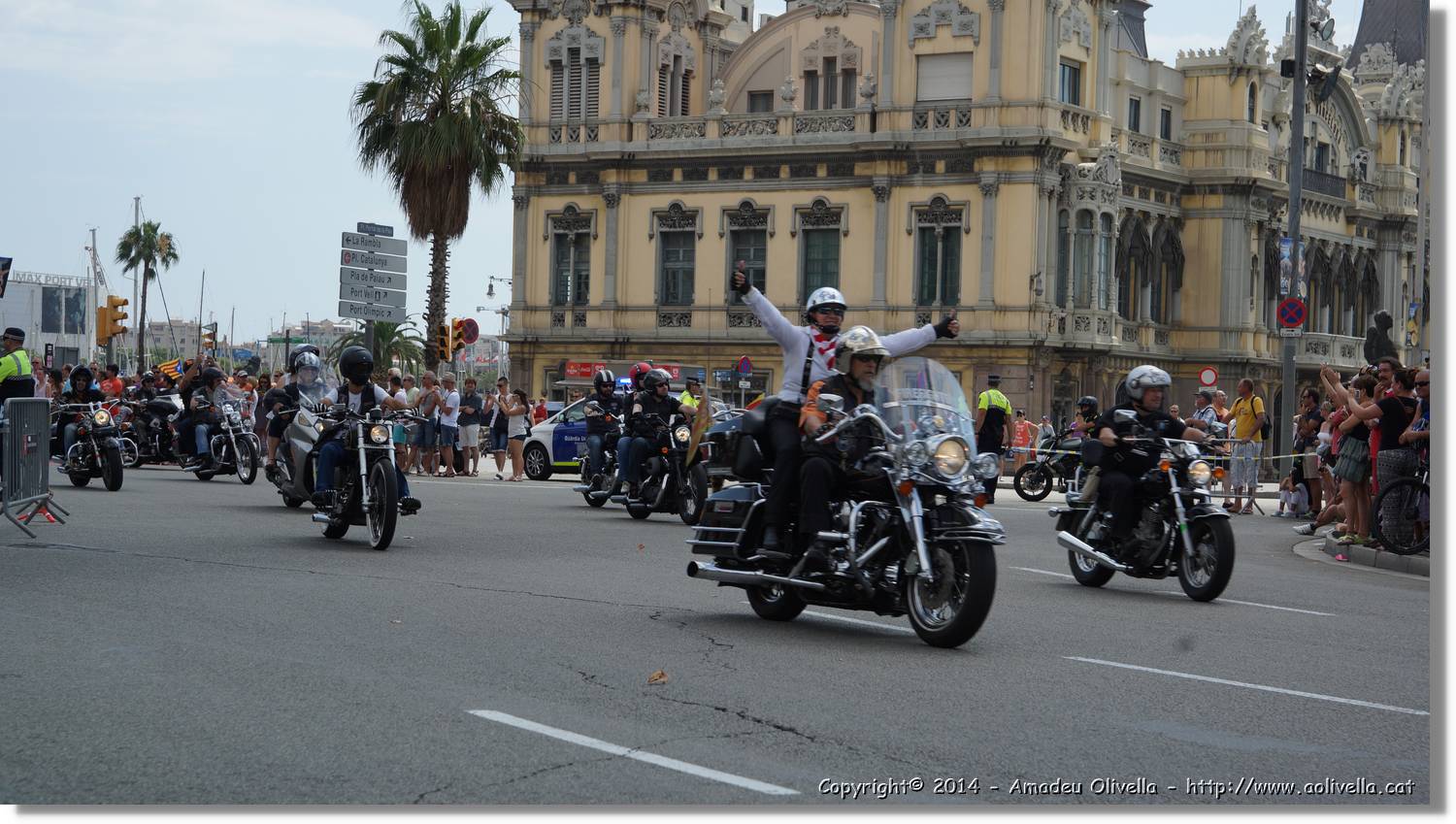HarleyD_080.jpg