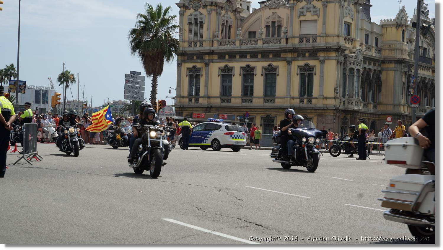 HarleyD_084.jpg