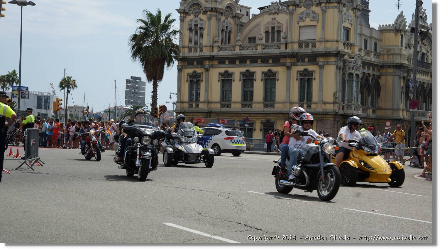 HarleyD_095.jpg