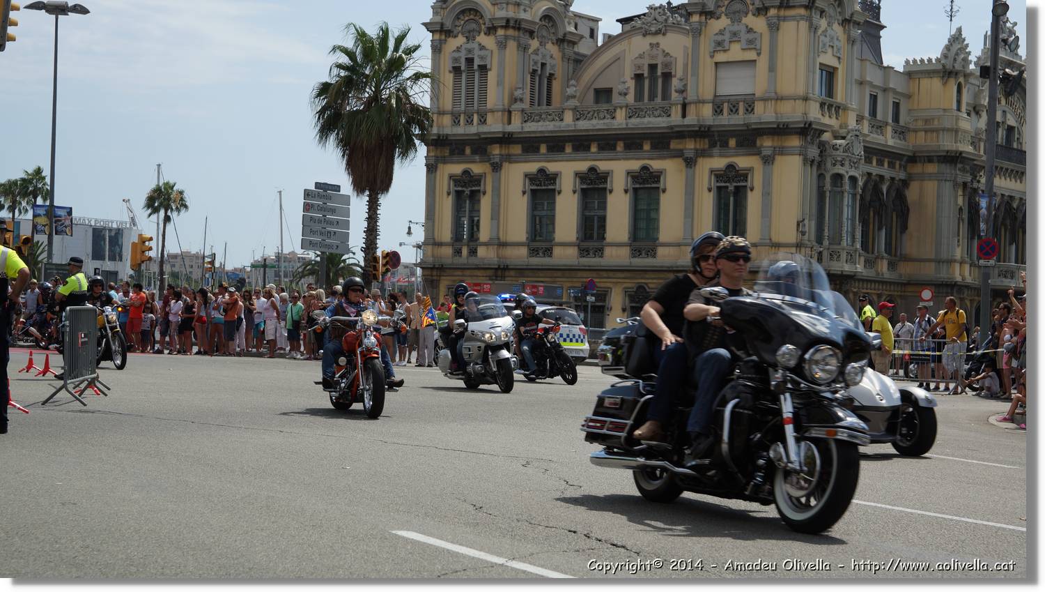 HarleyD_096.jpg