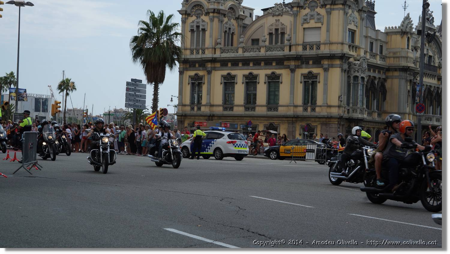 HarleyD_099.jpg