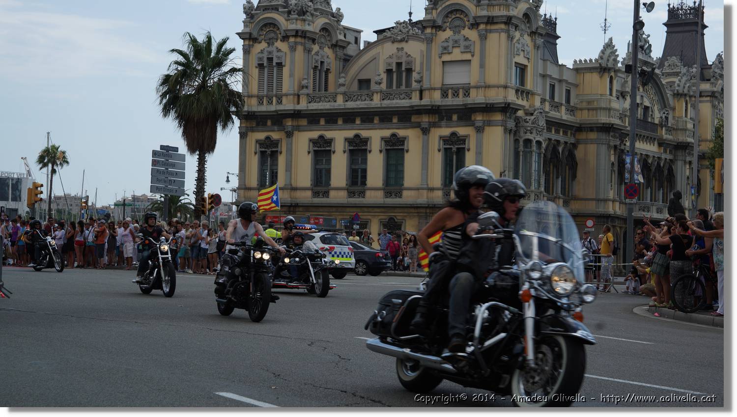 HarleyD_102.jpg