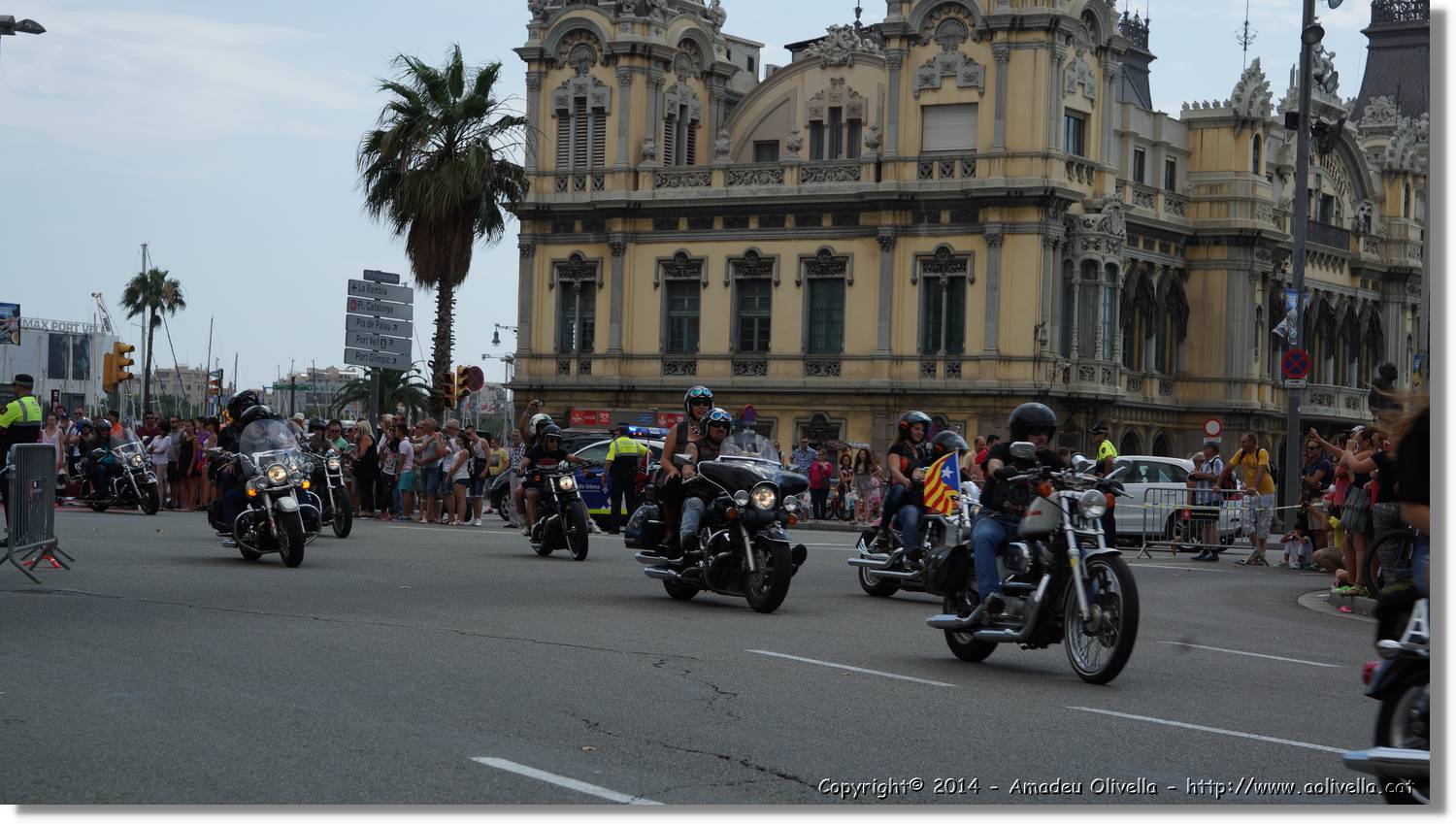 HarleyD_110.jpg