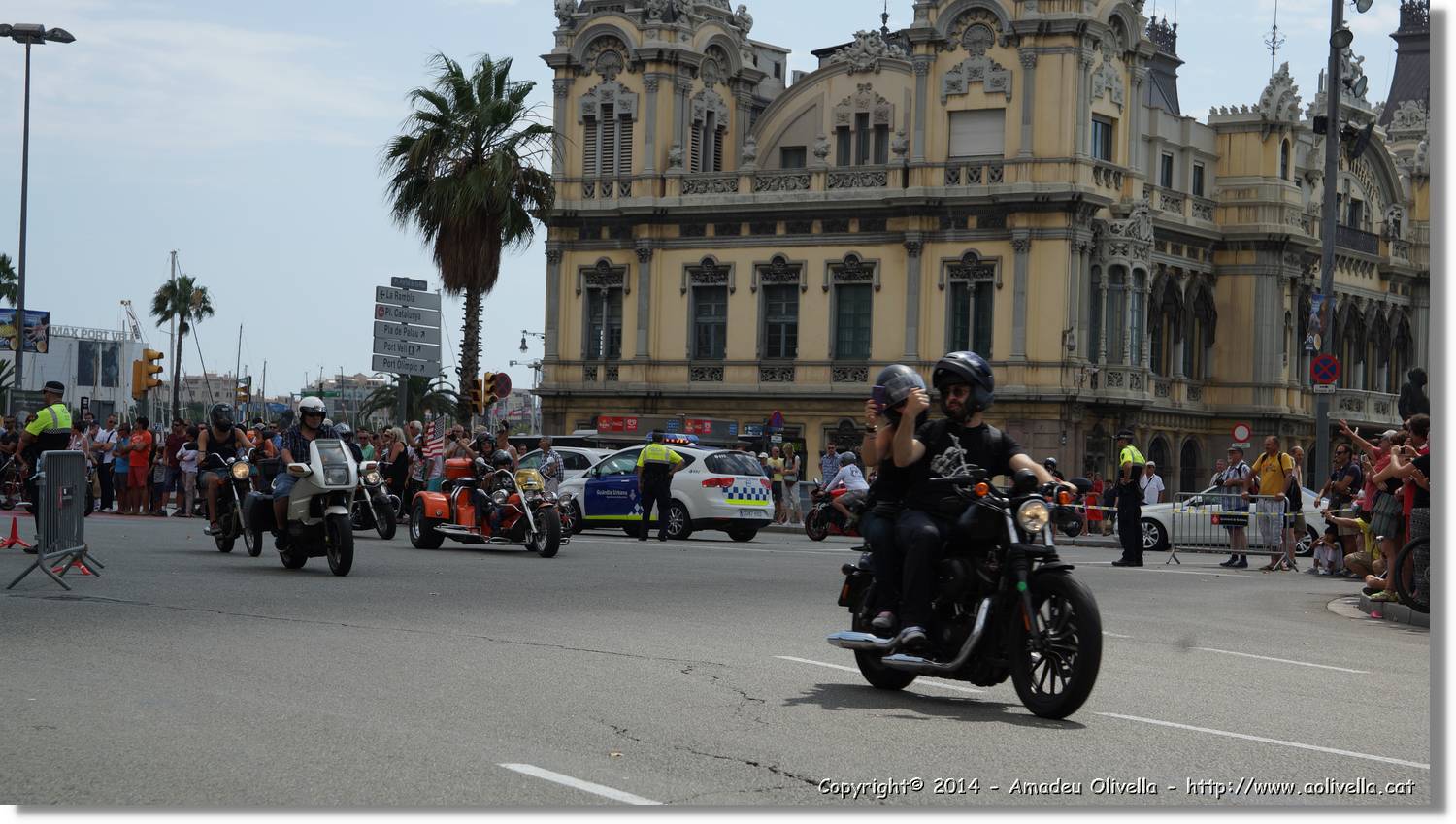HarleyD_111.jpg