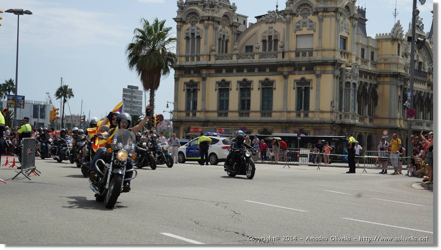 HarleyD_112.jpg