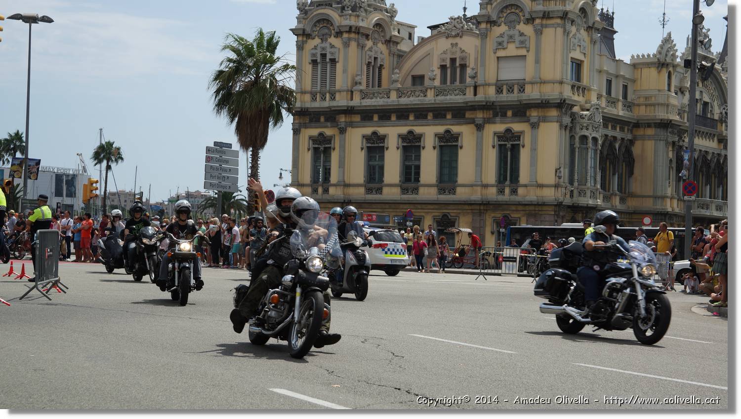 HarleyD_113.jpg