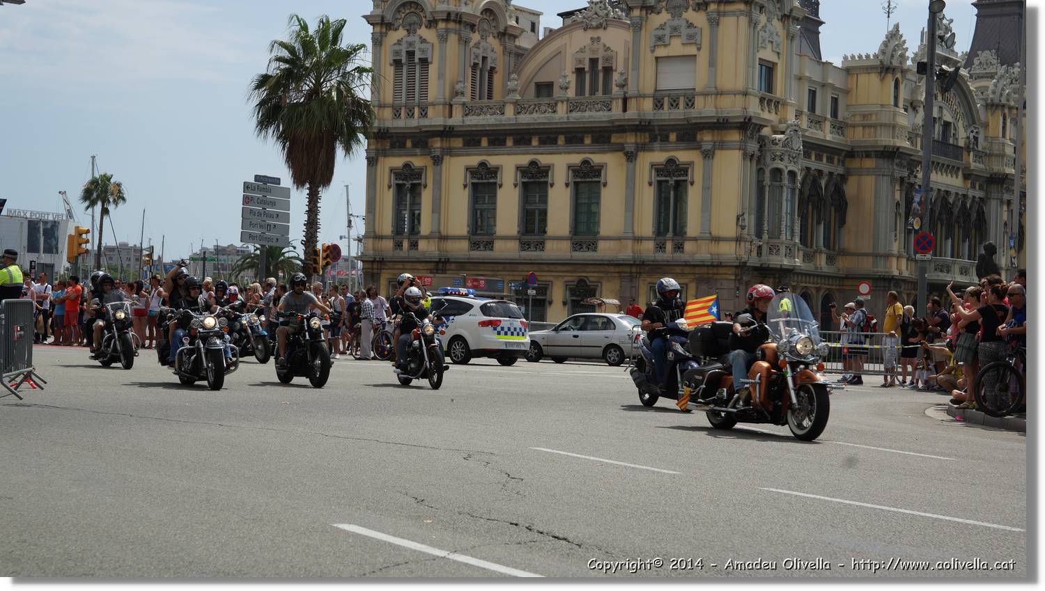 HarleyD_115.jpg