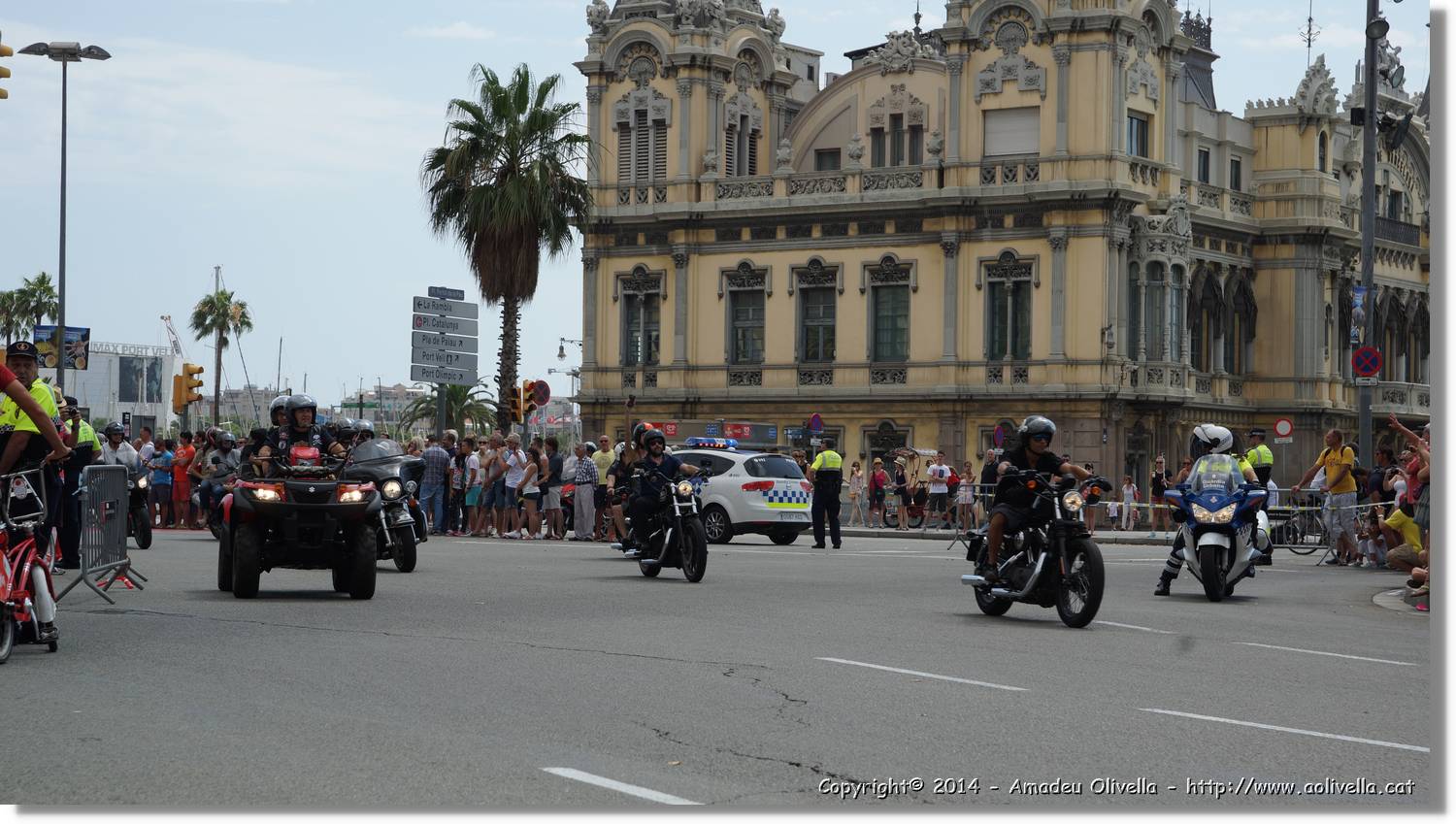 HarleyD_121.jpg